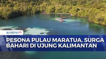 Jelajahi Pesona Pulau Maratua: Surga Bahari Di Ujung Kaltim Hingga Bertemu Lumba-Lumba Di Laut Lepas