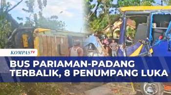 Kecelakaan Tunggal Bus Di Pariaman, 8 Penumpang Luka Usai Bus Terbalik | KOMPAS PETANG