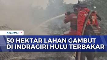 Karhutla Di Indragiri Hulu, 50 Hektar Lahan Terbakar Dan Api Belum Terkendali | SAPA MALAM