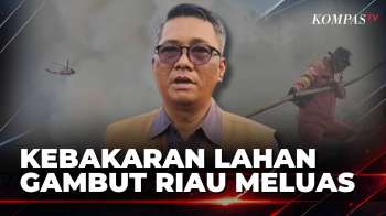 Karhutla Pelalawan Meluas, 700 Hektare Lahan Gambut Terbakar dan Sekolah Diliburkan | SAPA MALAM