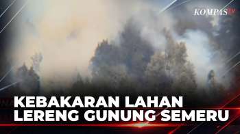 Tiupan Angin Buat Kebakaran Gunung Semeru Di Lumajang Meluas Capai 290 Hektar | SAPA PAGI