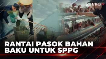 Polda Metro Jaya Gandeng BGN dan Diskan Bekasi Kembangkan Rantai Pasok Bahan Baku untuk SPPG