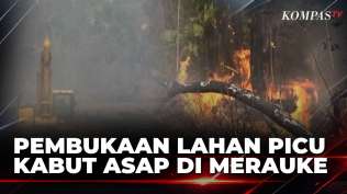 polisi-ungkap-pembukaan-lahan-untuk-cetak-sawah-picu-kabut-asap-di-merauke-sapa-malam