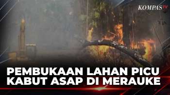 Polisi Ungkap Pembukaan Lahan Untuk Cetak Sawah Picu Kabut Asap Di Merauke | SAPA MALAM