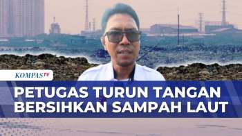 Petugas Angkut 8 Meter Kubik Sampah di Muara Angke | IU