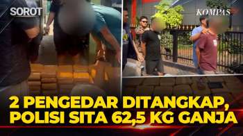 Detik-detik Penangkapan Pengedar Ganja 62,5 Kilogram Di Jakarta