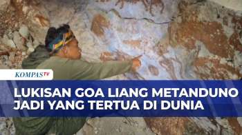 Lukisan Goa Liang Metanduno di Muna Disebut Tertua di Dunia, Usianya 67.800 Tahun
