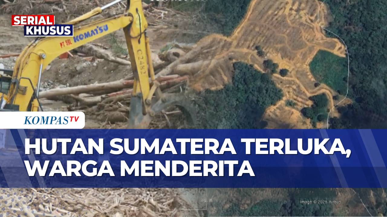 Hutan Sumatera Terluka: Tanpa Pemulihan Lingkungan, Bencana Banjir-Longsor Akan Berulang