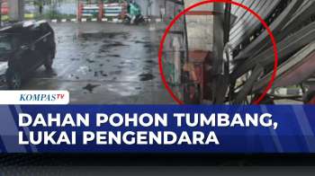 Kronologi Dahan Pohon Kapuk Lapuk Patah, 3 Pengendara Luka | KOMPAS PETANG