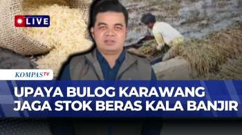 [FULL] Bulog Karawang Ungkap Upaya Pastikan Stok Beras Aman Di Tengah Banjir | KOMPAS SIANG