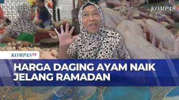 Harga Daging Ayam Potong Naik Jelang Ramadan, Tembus Rp30.000 Per Kg | KOMPAS SIANG