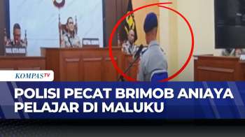 Kasus Tewasnya Pelajar Di Tual, Bripda M.S. Resmi Dipecat | KOMPAS PETANG