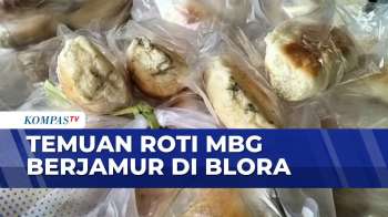 Roti MBG Di Blora Ditemukan Berjamur, SPPG Tarik & Ganti Dengan Yang Baru | SAPA MALAM