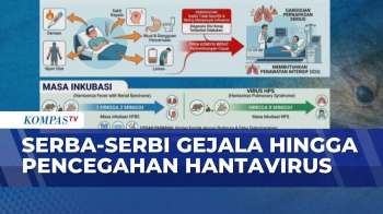 LENGKAP! Penjelasan, Gejala, Hingga Pencegahan Hantavirus Dari Kemenkes | KOMPAS SIANG