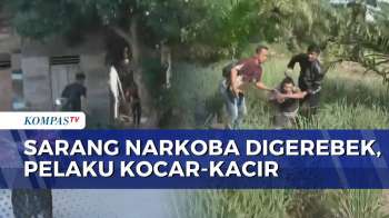 Polres Serdang Bedagai Gerebek 8 Sarang Narkoba, Pelaku Kabur Ke Sawah | BORGOL