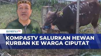 Rayakan Idul Adha, KompasTV Salurkan Hewan Kurban Untuk Warga Ciputat | KOMPAS SIANG