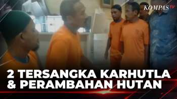Polisi Tangkap 2 Tersangka Perambahan-Pembakaran Hutan Lebih Dari 9 Hektar | KOMPAS SIANG
