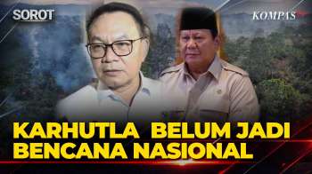 Pemerintah Belum Tetapkan Karhutla jadi Bencana Nasional, Ini Kata Menko Polkam Dudung
