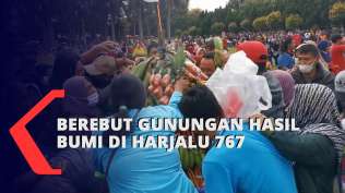 berebut-gunungan-hasil-bumi-di-hari-jadi-lumajang-ke-767