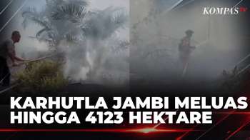 Gawat! Karhutla Jambi Kian Meluas, 4.123 Hektare Lahan Terbakar | KOMPAS SIANG