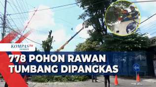 tim-gerpas-pangkas-778-pohon-rawan-tumbang-di-kota-jember