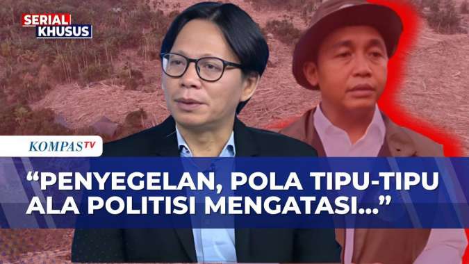 Kritik Pedas! Greenpeace Soal Langkah Menhut Usut Pembalakan Liar ...
