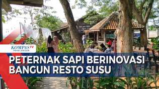 peternak-sapi-di-pekalongan-sulap-kandang-jadi-resto-susu-sapi-omset-meningkat