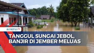 banjir-di-jember-makin-meluas-akibat-jebolnya-tanggul-sungai