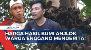 derita-warga-enggano-panen-hasil-bumi-meski-harga-anjlok-sapa-malam