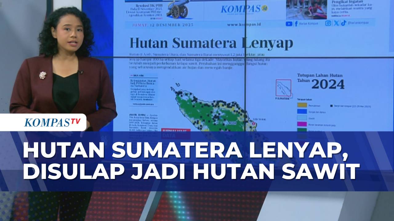 [FULL] Bahas Hutan Sumatera Hilang 1,2 Juta Hektar, Deforestasi Tanggung Jawab Siapa? - ULAS KOMPAS