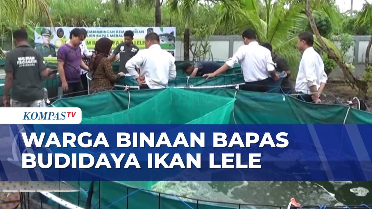 Dukung Ketahanan Pangan, Warga Binaan Bapas Panen Budi Daya Ikan Lele | JURNAL NUSANTARA