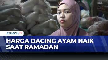 Ramadan 2026, Pasokan Dari Jawa Picu Kenaikan Harga Ayam Di NTT