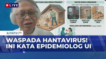Simak! Epidemiolog UI Pandu Riono Bahas Hantavirus Di Indonesia: Gejala, Penularan, Serta Pencegahan