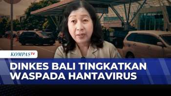 Dinkes Bali Siapkan Fasilitas Kesehatan Antisipasi Hantavirus | JMP