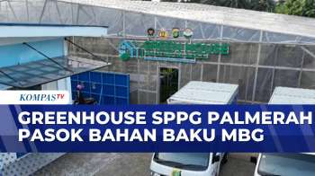 Pasok Bahan Baku Menu Bergizi, Ini Greenhouse SPPG Palmerah | JMP