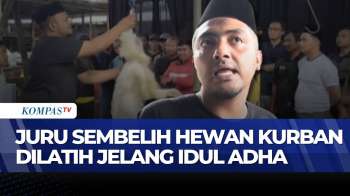 [FULL] Pelatihan Menyembelih Hewan Kurban Digelar Jelang Idul Adha, Bagaimana Prosesnya?
