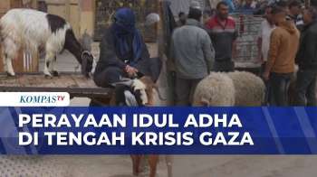 Warga Gaza Rayakan Iduladha Di Tengah Krisis, Harga Ternak Melonjak Drastis | KOMPAS SIANG