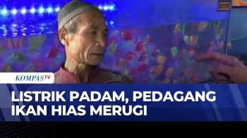 Dampak Pemadaman Listrik Bergilir, Ikan Hias Mati dan Pedagang Rugi | KOMPAS PETANG