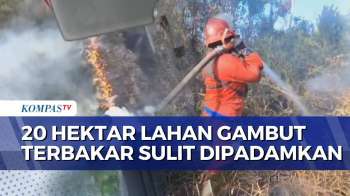 Kebakaran Lahan Gambut 20 Hektare di OKI Belum Padam, BNPB Kerahkan Helikopter