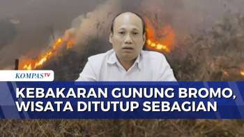 Kebakaran Hutan di Bromo, Jalur Wisata Jemplang, Coban Trisula hingga Senduro Ditutup | SAPA MALAM