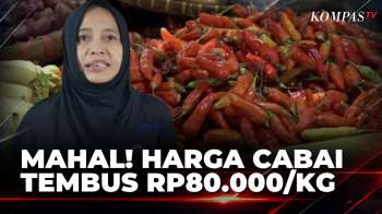 Harga Cabai Di Sejumlah Pasar Kota Kediri Naik, Tembus Rp80.000 Per Kg | KOMPAS SIANG
