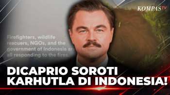Leonardo DiCaprio Soroti 800 Ribu Hektare Karhutla Di Indonesia, Sebut Aktivitas Manusia |SAPA MALAM