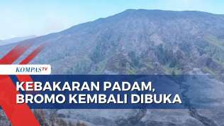 12-hari-ditutup-akibat-tragedi-kebakaran-prewedding-kawasan-wisata-gunung-bromo-kembali-dibuka