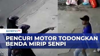 Tepergok! Curanmor Di Toko Hewan Todongkan Benda Mirip Senpi | BORGOL