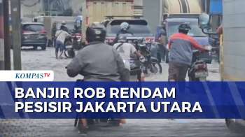 Banjir Rob Rendam Akses Ke Pelabuhan Sunda Kelapa Jakut, Sejumlah Motor Mogok | SAPA MALAM