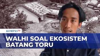 Walhi Sumut Ungkap Ekosistem Batang Toru Rusak Parah | KOMPAS PETANG