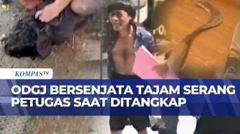 ODGJ Bersenjata Tajam Ngamuk, Lukai Petugas Saat Penangkapan | BERUT