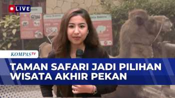 Keseruan Libur Akhir Pekan di Taman Safari Bogor | KOMPAS SIANG