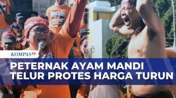 Peternak Ayam Di Solo Gelar Aksi Mandi Telur, Protes Anjloknya Harga Telur | KOMPAS PETANG