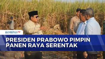 Momen Presiden Prabowo Pimpin Peresmian Panen Raya Serentak di 43 Titik di Indonesia | SAPA MALAM